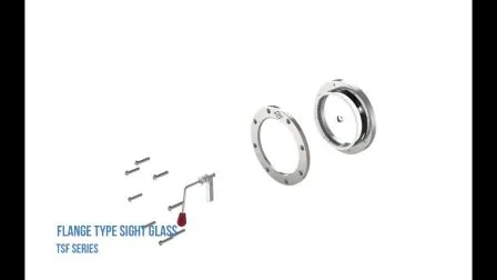 DIN 28120 Stainless Steel Sanitary Flange Type Sight Glass with Light Pipe Fitting 